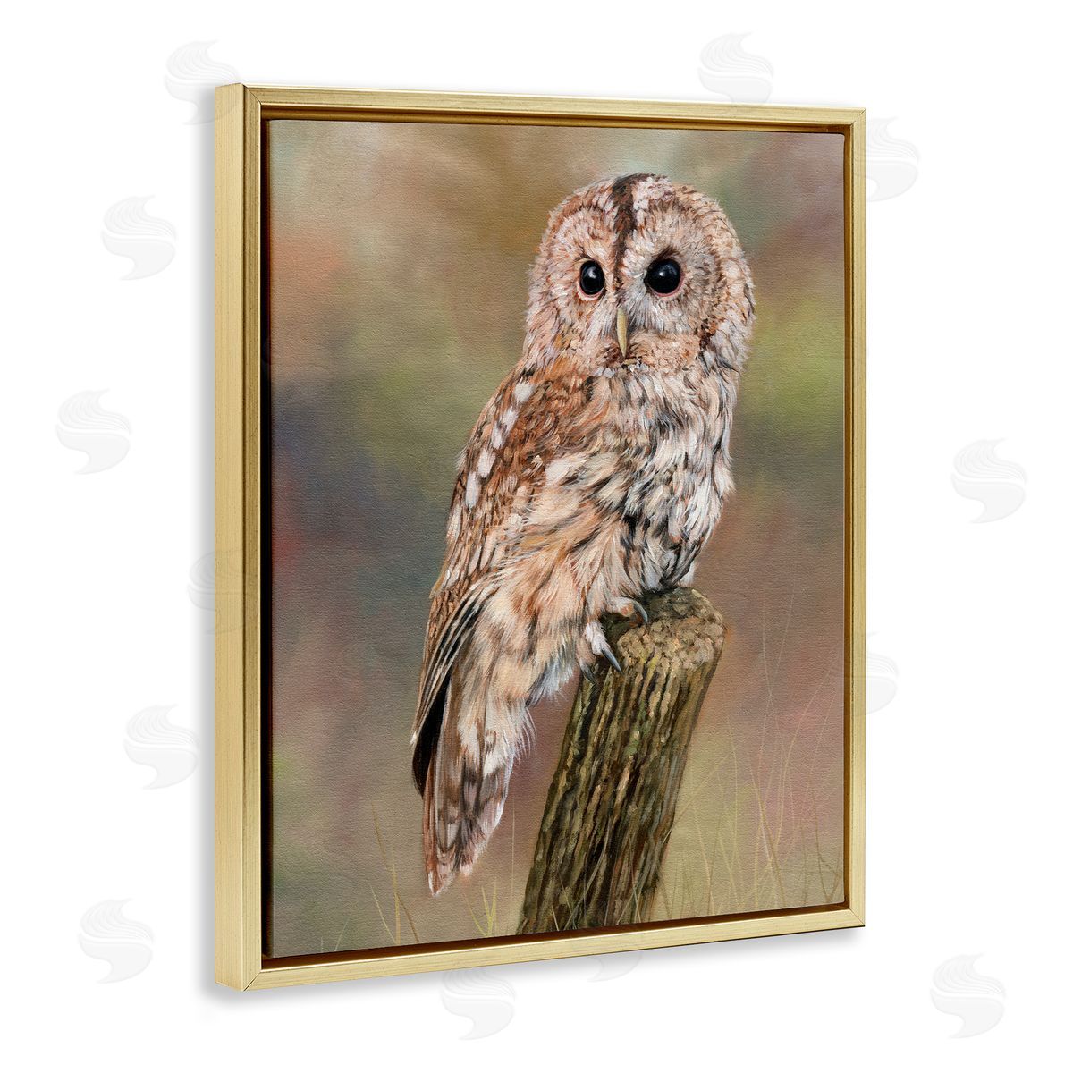 David Stribbling Brown Tawny Owl Perched Intricate Woodland Wildlife Painting  Gold Floating Frame Canvas Wall Art Print