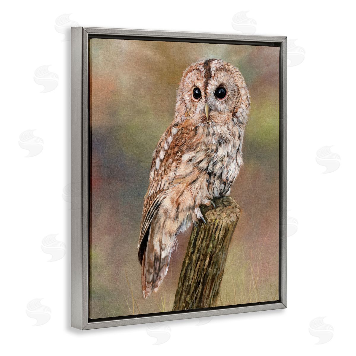 David Stribbling Brown Tawny Owl Perched Intricate Woodland Wildlife Painting  Gray Floating Frame Canvas Wall Art Print
