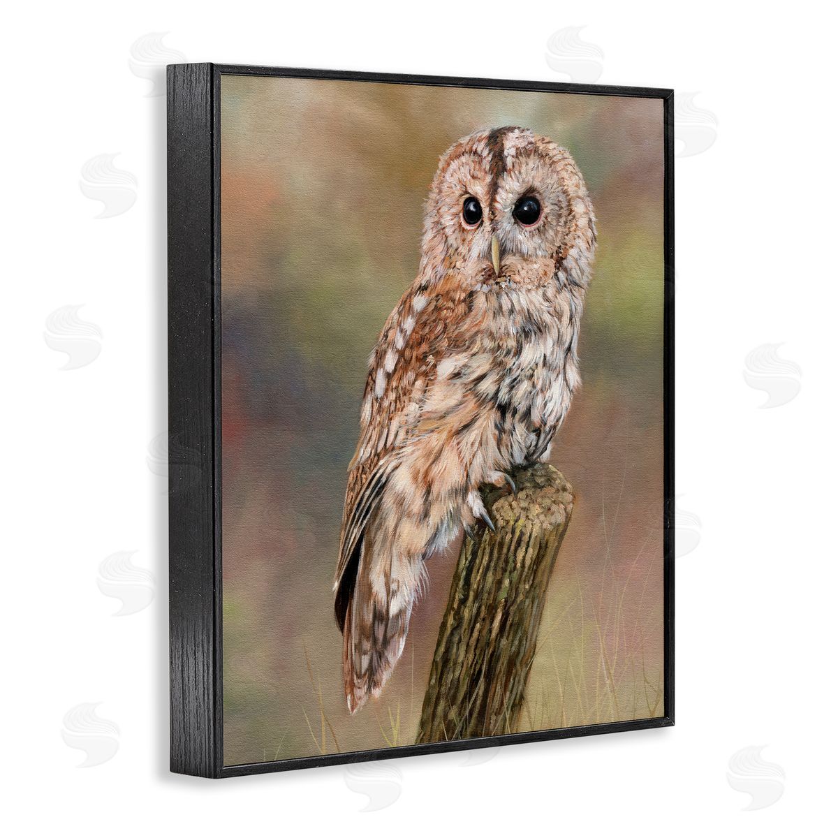 David Stribbling Brown Tawny Owl Perched Intricate Woodland Wildlife Painting  Black Framed Giclee Wall Art Print