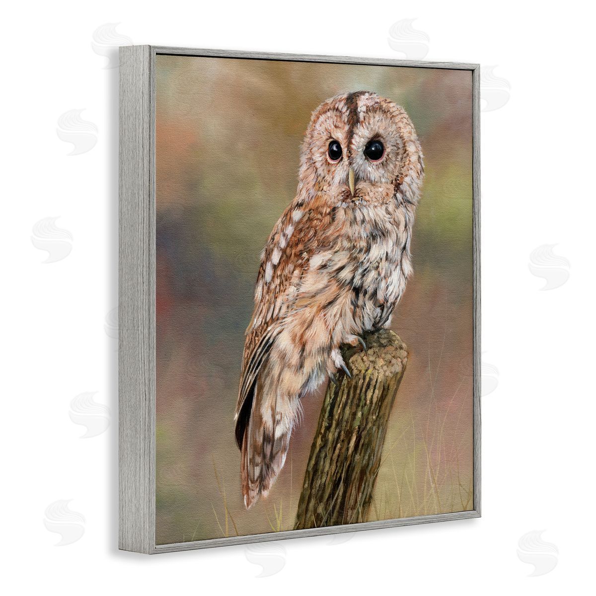 David Stribbling Brown Tawny Owl Perched Intricate Woodland Wildlife Painting  Gray Framed Giclee Wall Art Print