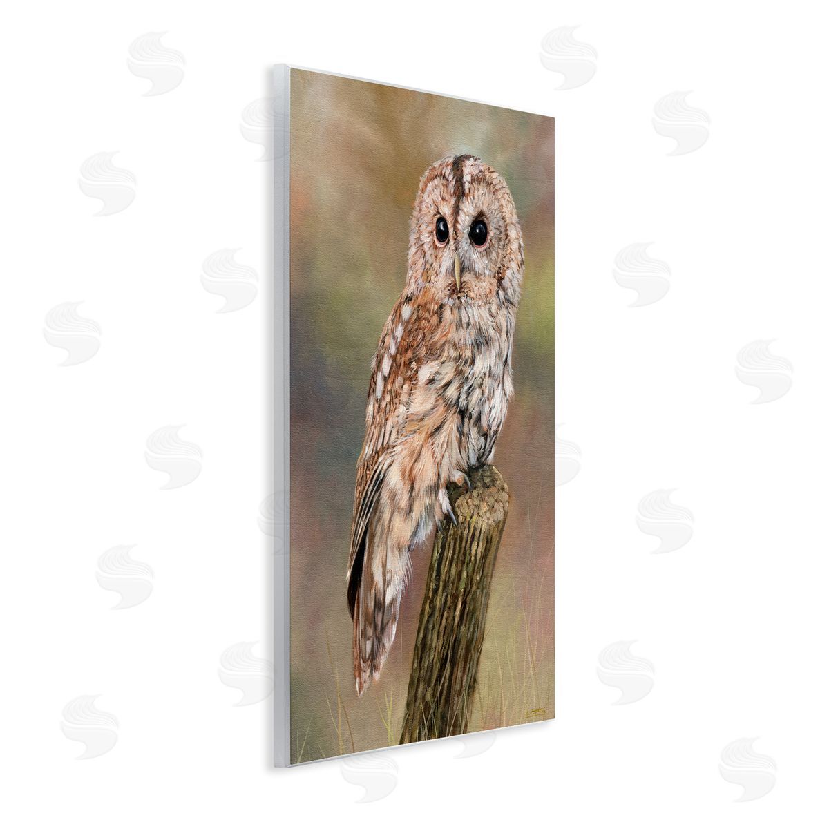 David Stribbling Brown Tawny Owl Perched Intricate Woodland Wildlife Painting  Wall Plaque Art Print