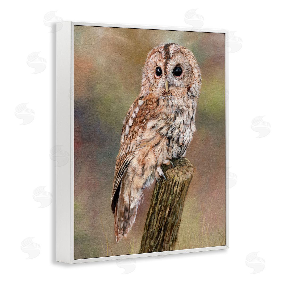David Stribbling Brown Tawny Owl Perched Intricate Woodland Wildlife Painting  White Framed Giclee Wall Art Print