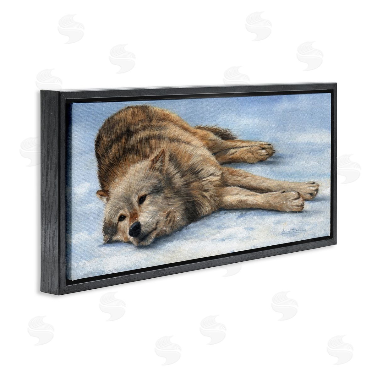 David Stribbling Coyote Wolf Resting Snowy Landscape Woodland Wildlife