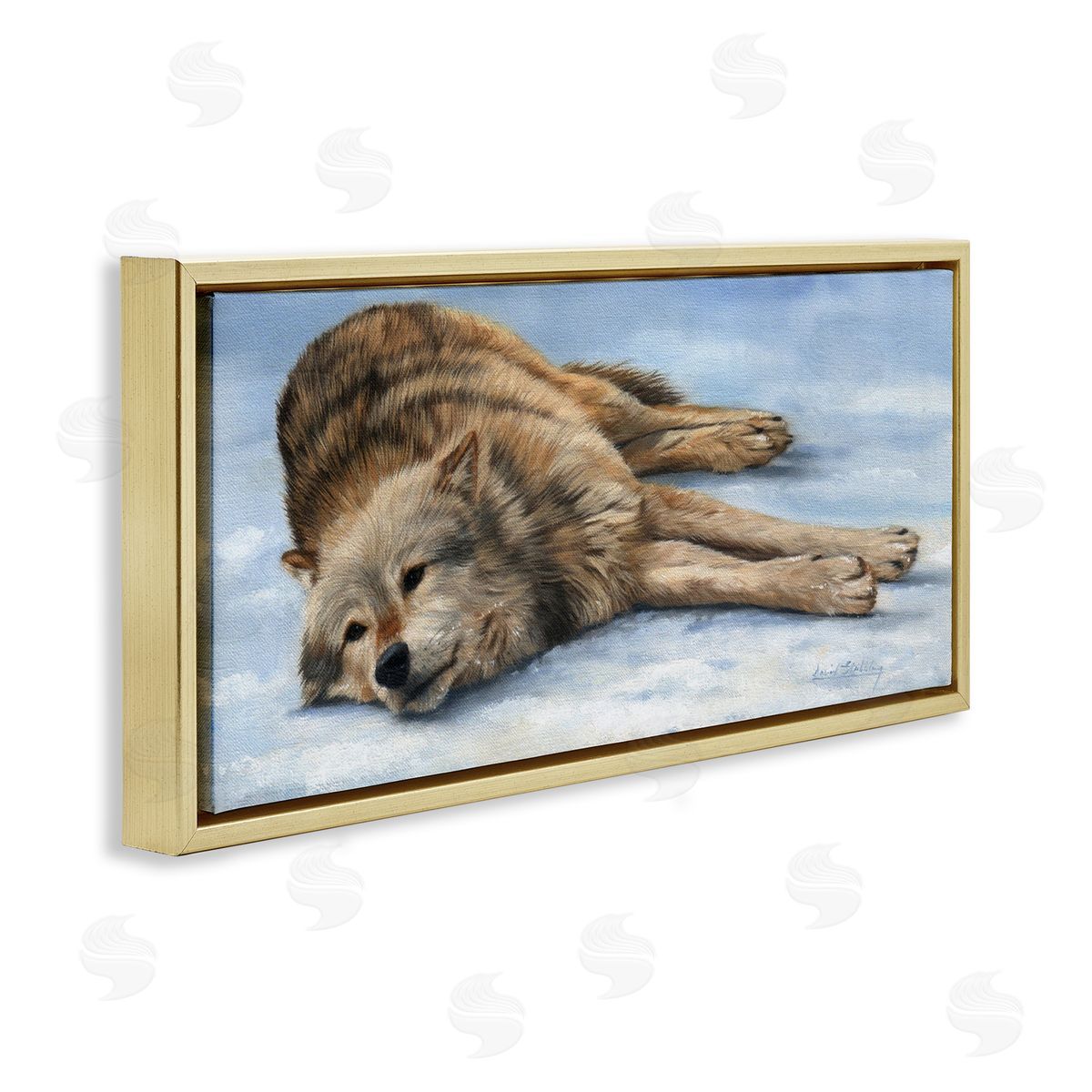 David Stribbling Coyote Wolf Resting Snowy Landscape Woodland Wildlife