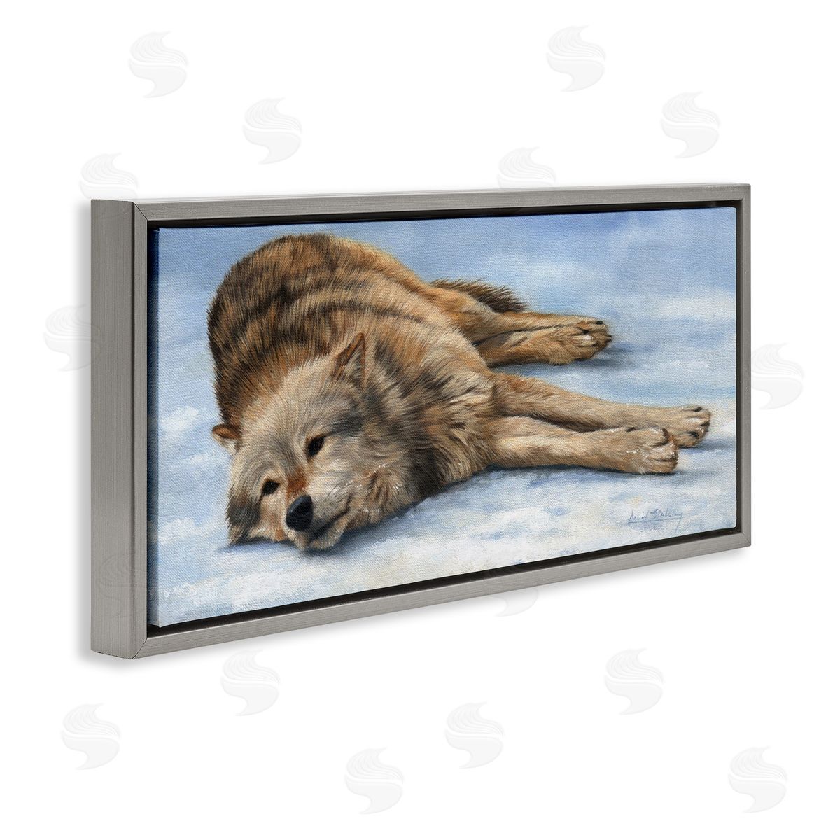 David Stribbling Coyote Wolf Resting Snowy Landscape Woodland Wildlife
