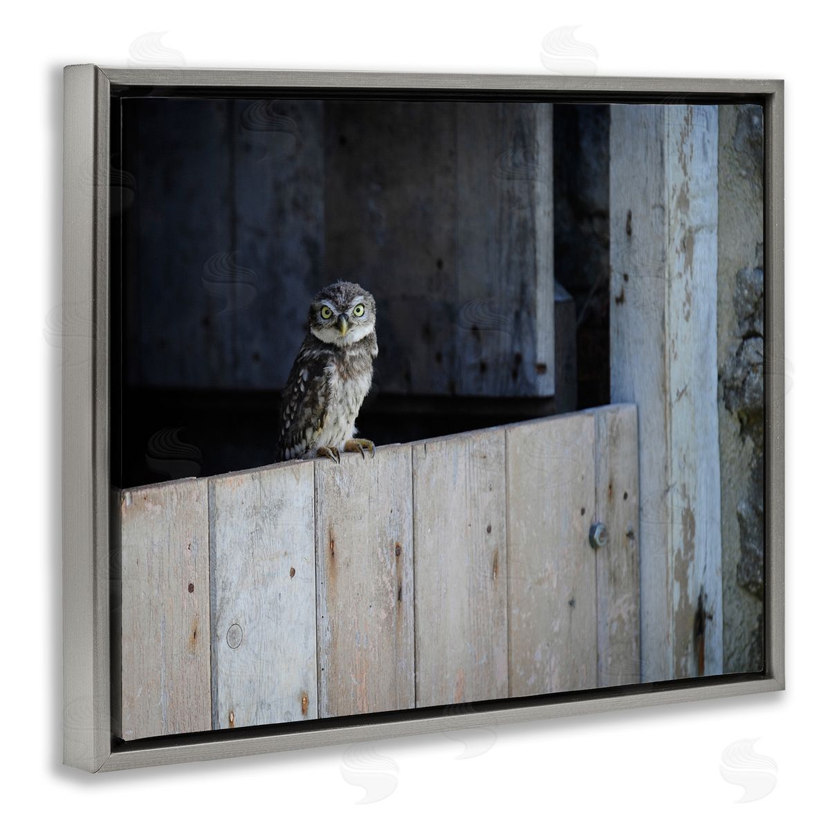 James Dobson Perched Owl Rural Barn Ledge Wildlife Photography Gray Floating Frame Canvas Wall Art Print