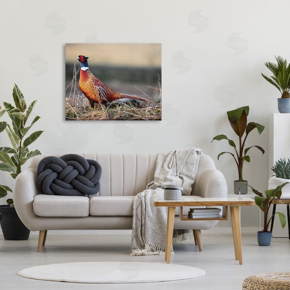 James Dobson Lone Pheasant Bird Grassy Forest Floor Wildlife Canvas Wall Art Print in Room