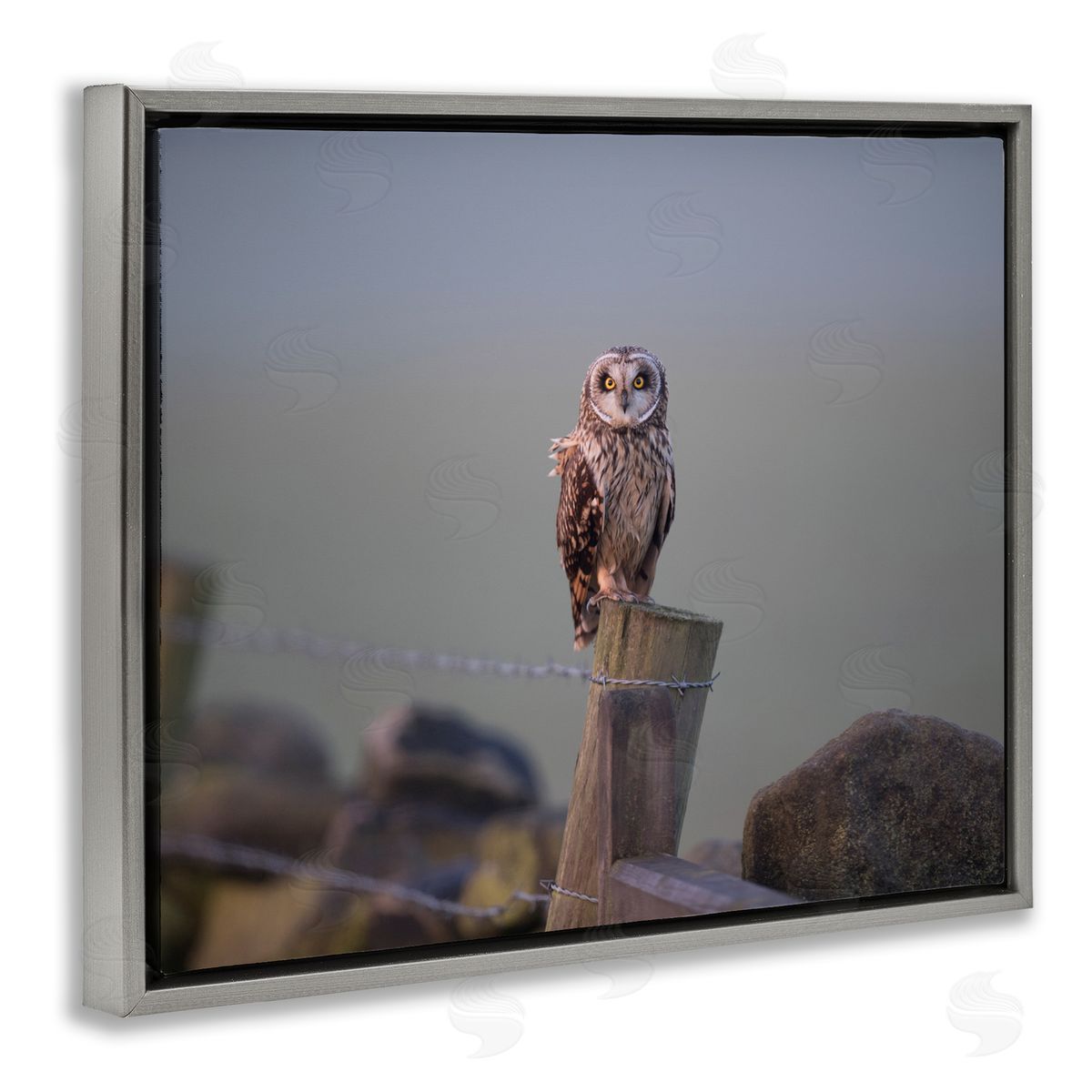 James Dobson Intensely Gazing Owl Perched Rural Fence Post  Gray Floating Frame Canvas Wall Art Print