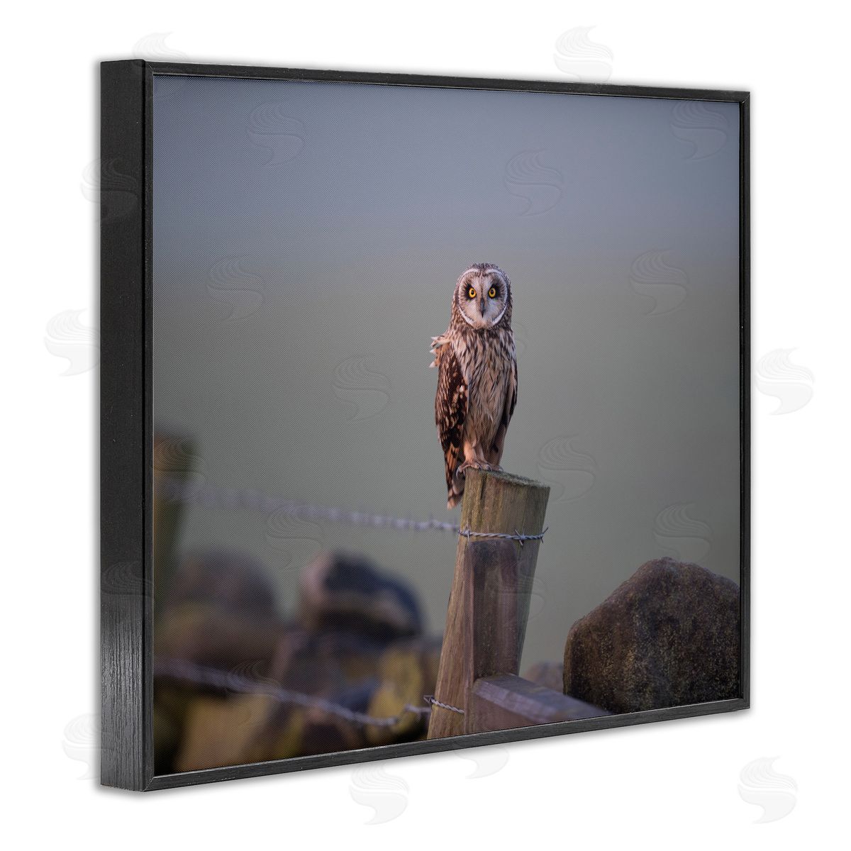 James Dobson Intensely Gazing Owl Perched Rural Fence Post  Black Framed Giclee Wall Art Print