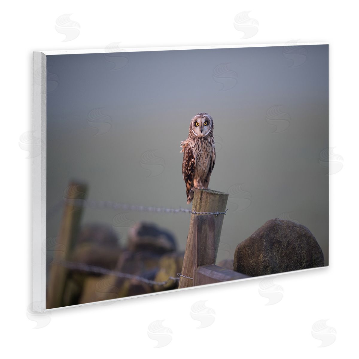 James Dobson Intensely Gazing Owl Perched Rural Fence Post  Wall Plaque Art Print