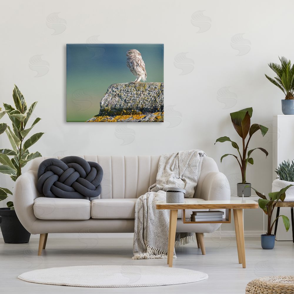 James Dobson Small Owl Gazing Thoughtfully Mossy Rock Scenery Canvas Wall Art Print in Room