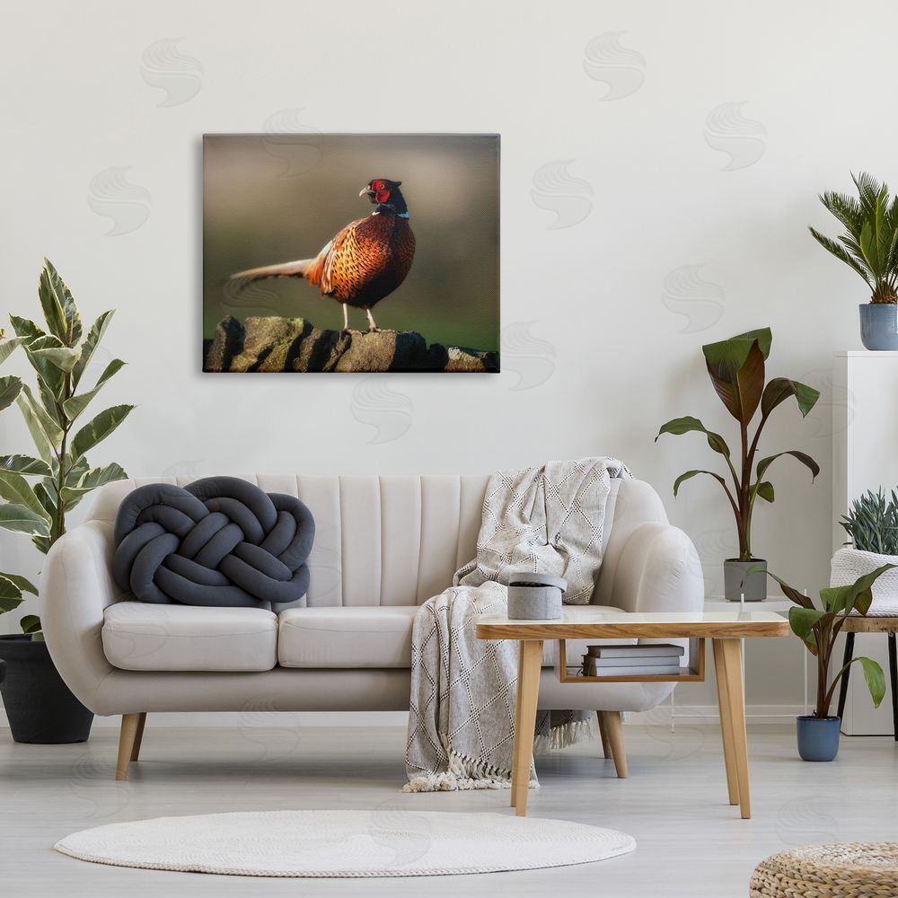 James Dobson Illuminated Pheasant Bird Standing Woodland Nature Scenery Canvas Wall Art Print in Room