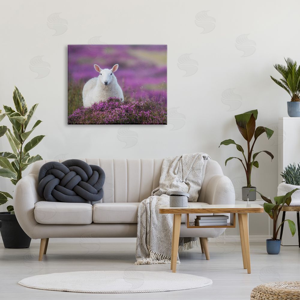 James Dobson Elegant White Sheep Among Purple Flower Meadow Canvas Wall Art Print in Room