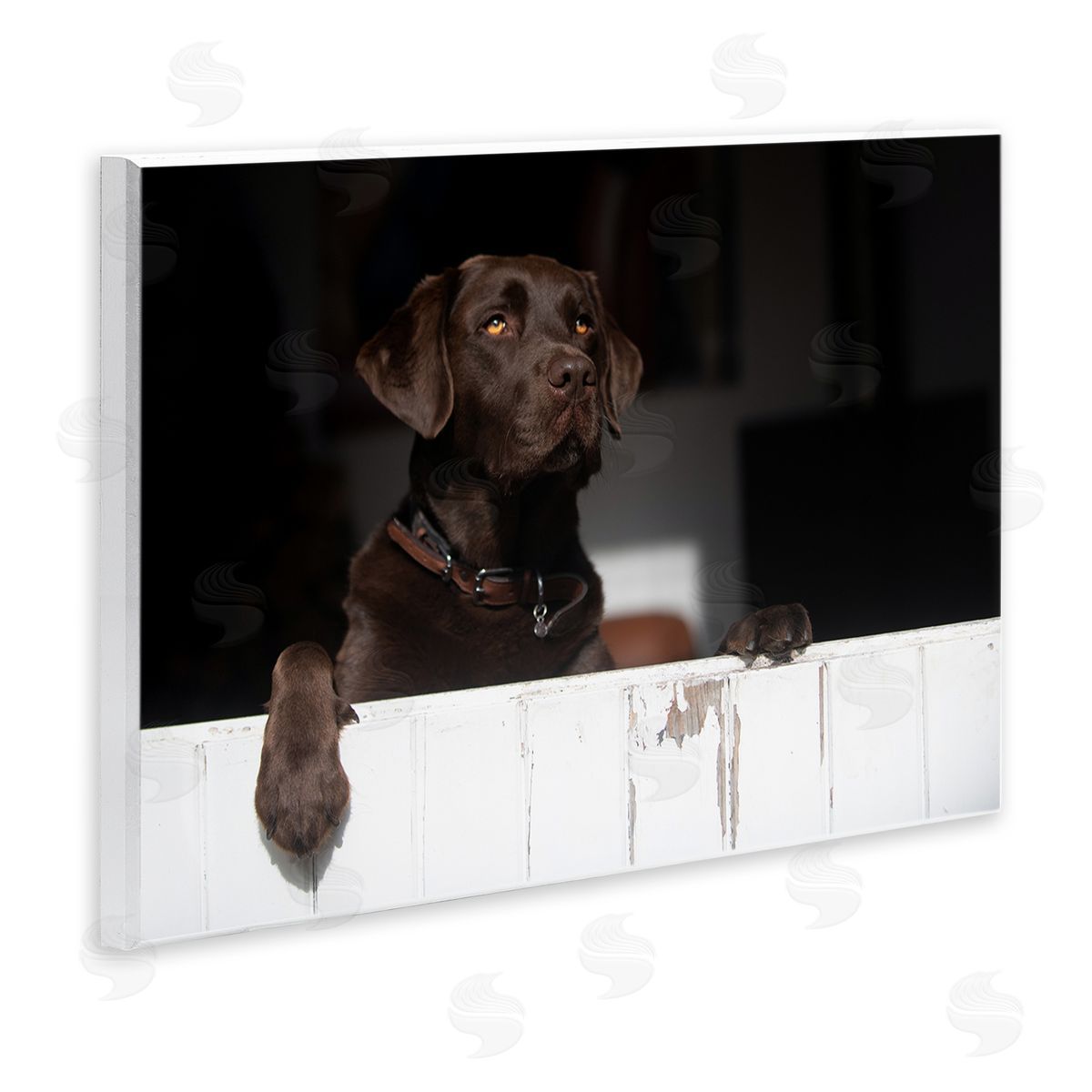 James Dobson Labrador Dog Overlooking Farm Leaning Barn Door Wall Plaque Art Print