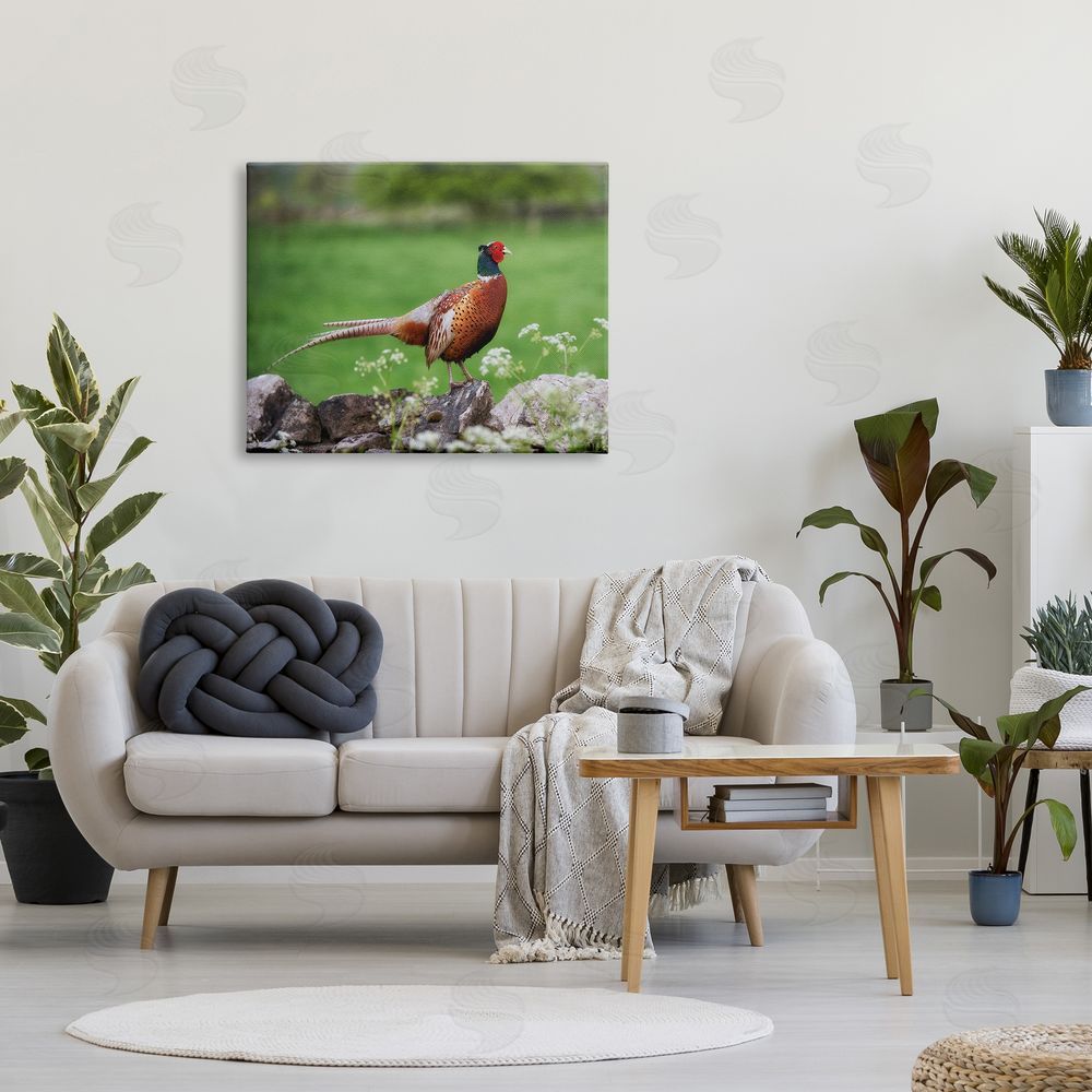 James Dobson Pheasant Strolling Lush Grassland Rural Nature Landscape Canvas Wall Art Print in Room
