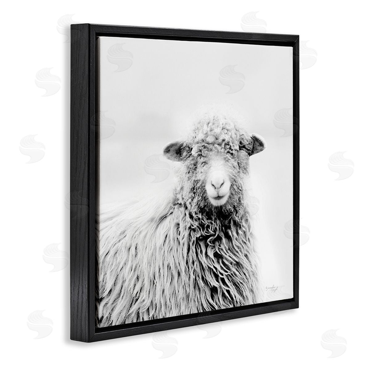 Jennifer Pugh Smiling Sheep Face Monochrome Farm Portrait Black Floating Frame Canvas Wall Art Print