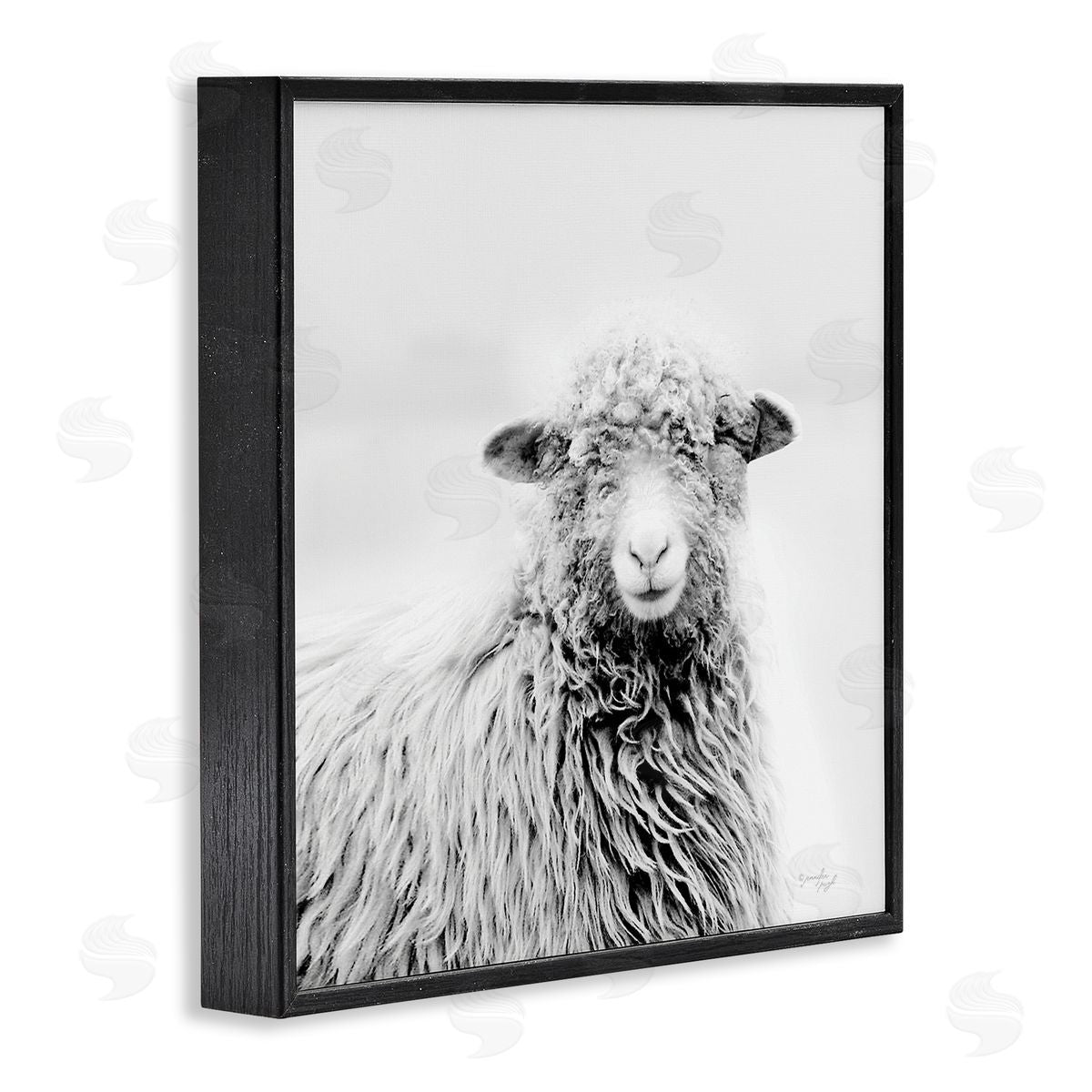 Jennifer Pugh Smiling Sheep Face Monochrome Farm Portrait Black Framed Glicee Wall Art Print