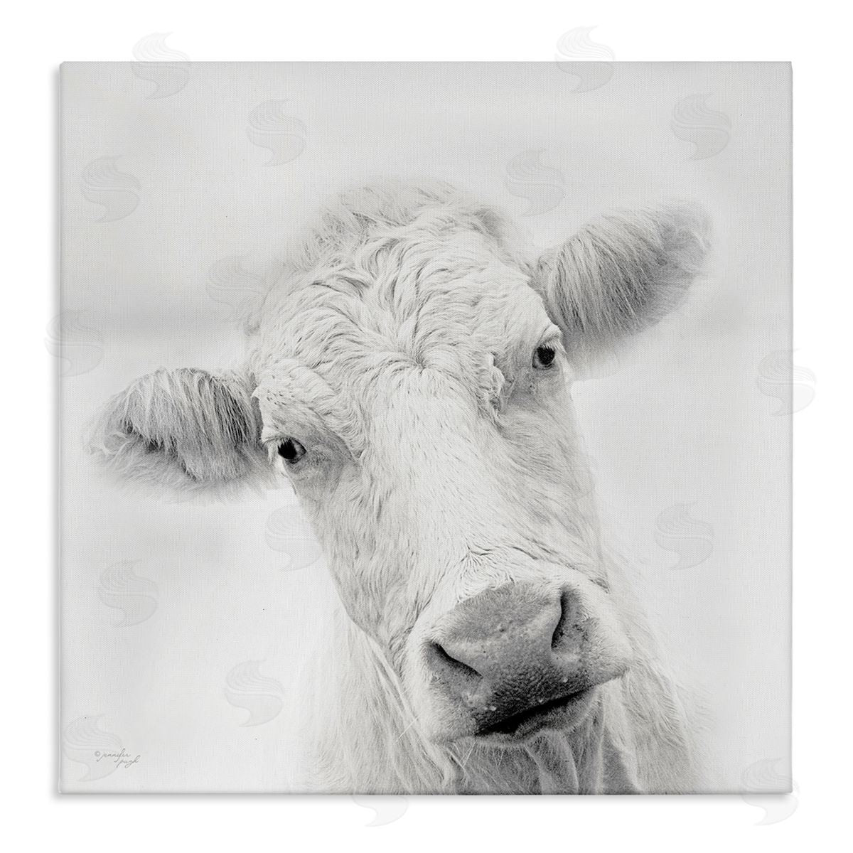 Jennifer Pugh Peaceful Cattle Portrait Close Up Rural Wildlife Stretched Canvas Wall Art Print