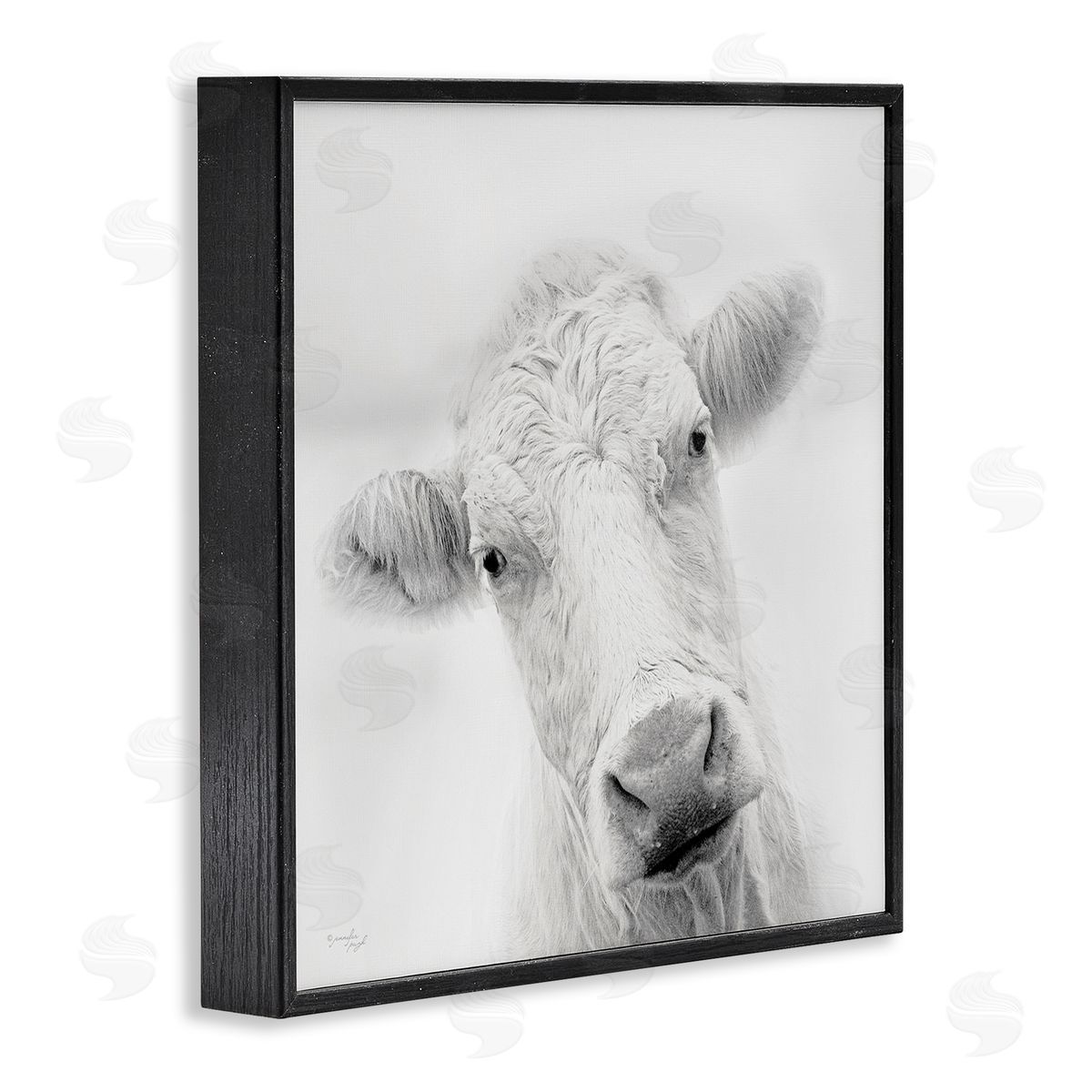 Jennifer Pugh Peaceful Cattle Portrait Close Up Rural Wildlife Black Framed Glicee Wall Art Print