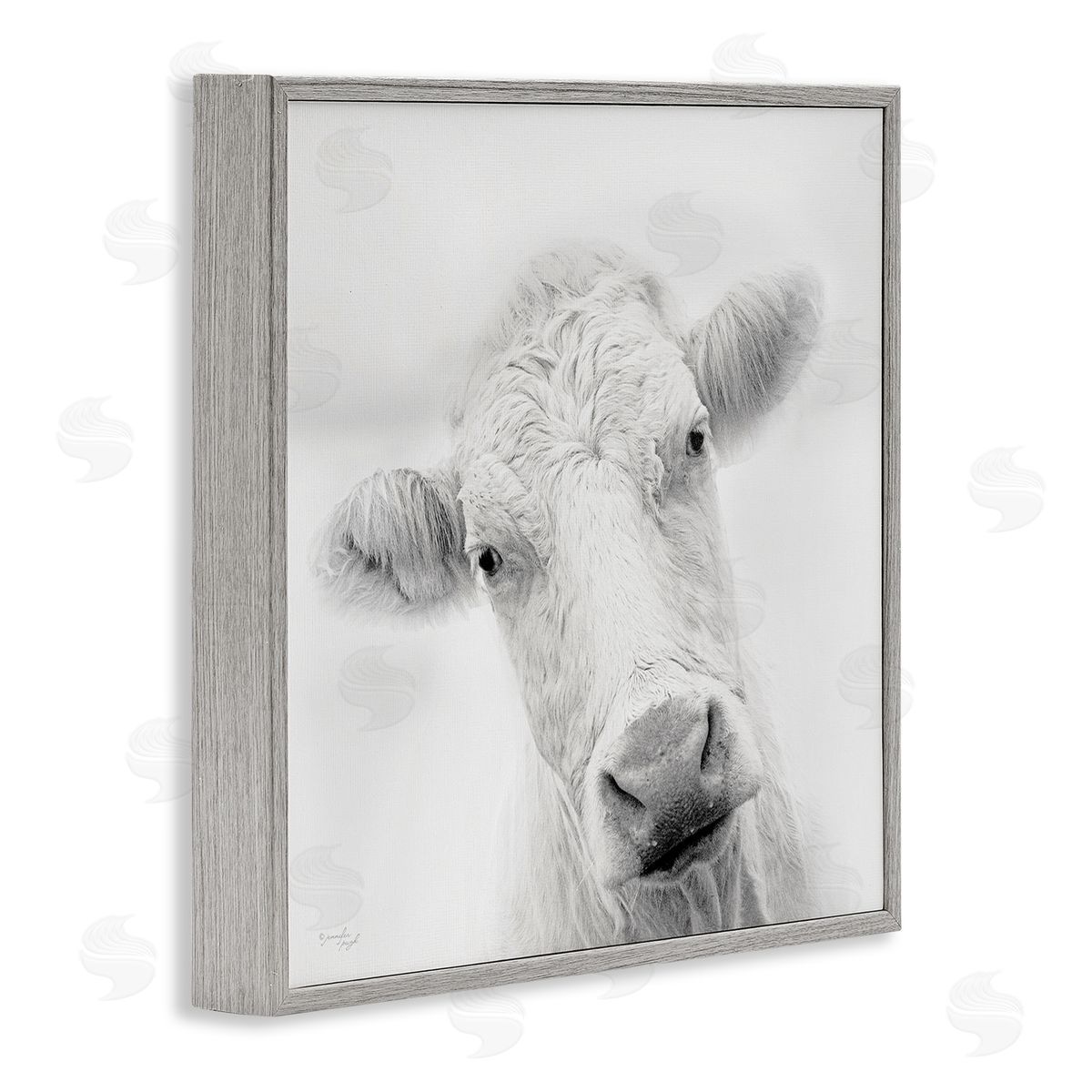 Jennifer Pugh Peaceful Cattle Portrait Close Up Rural Wildlife Gray Framed Glicee Wall Art Print