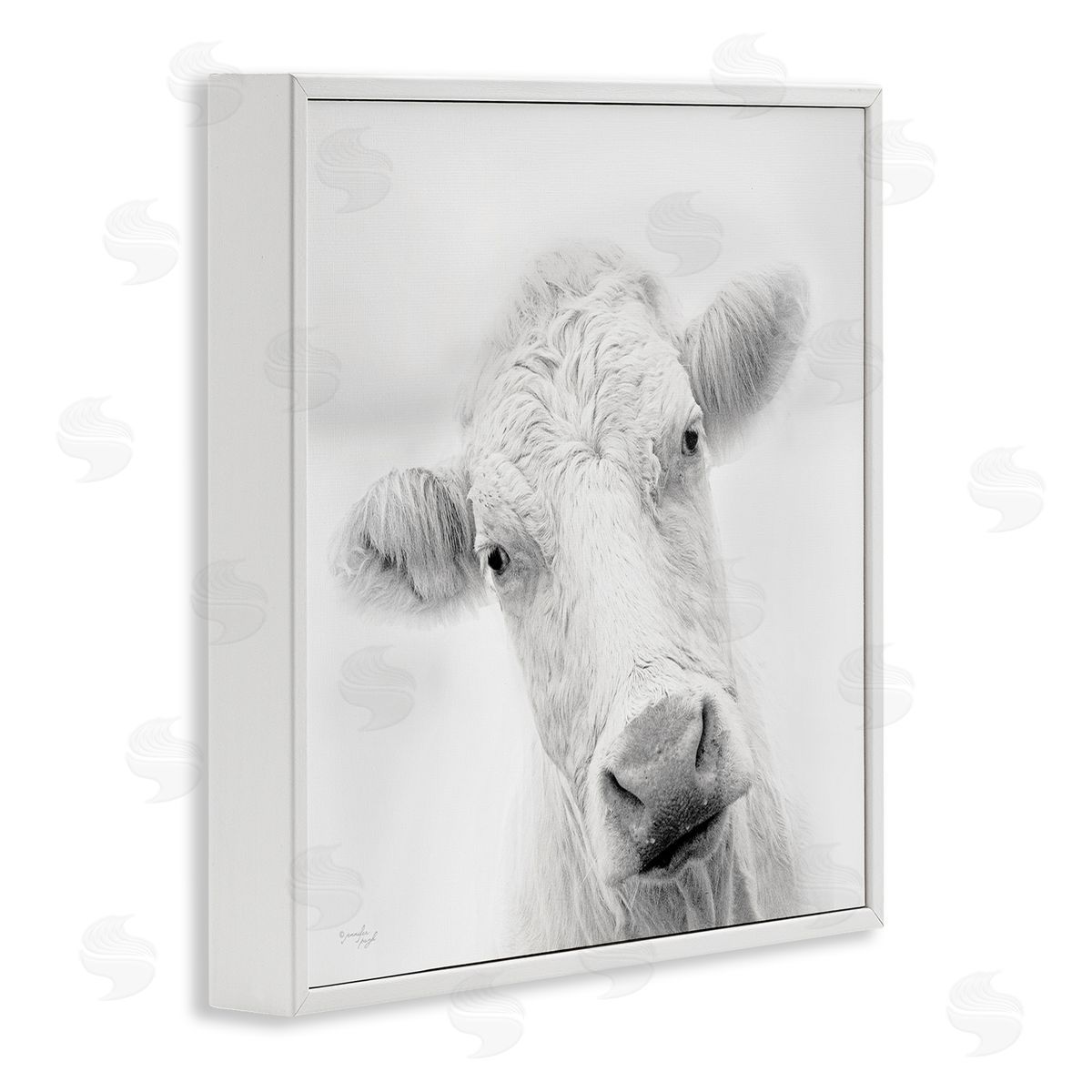 Jennifer Pugh Peaceful Cattle Portrait Close Up Rural Wildlife White Framed Glicee Wall Art Print