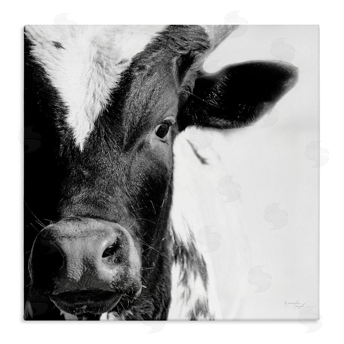 Jennifer Pugh Rural Farm Cow Stunning Up Close Photography Stretched Canvas Wall Art Print