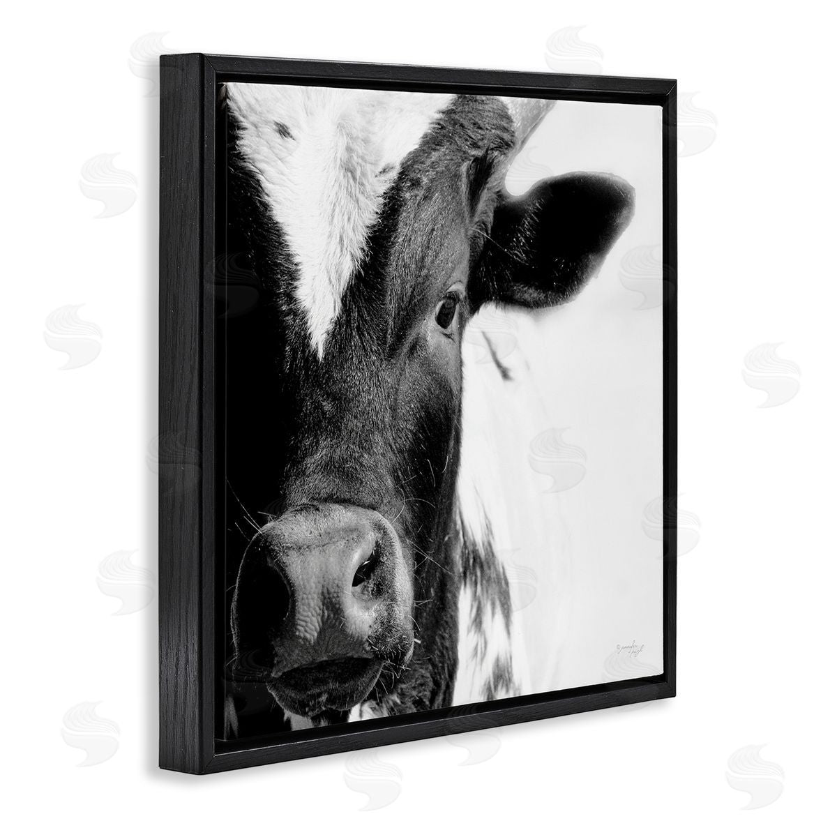 Jennifer Pugh Rural Farm Cow Stunning Up Close Photography Black Floating Frame Canvas Wall Art Print
