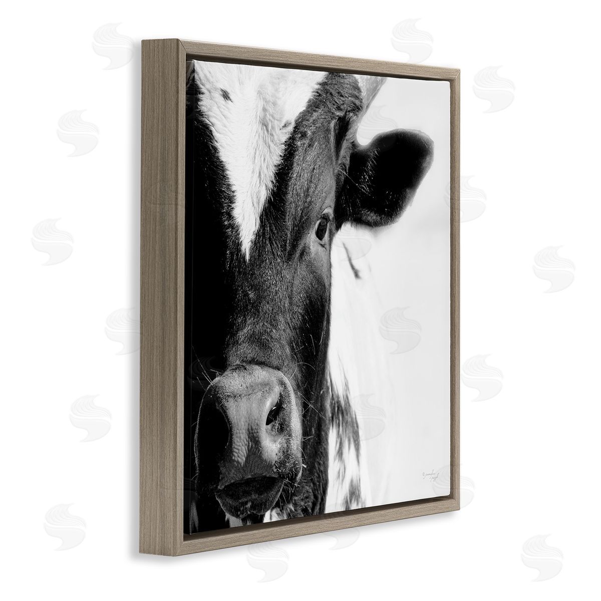 Jennifer Pugh Rural Farm Cow Stunning Up Close Photography Brown Floating Frame Canvas Wall Art Print