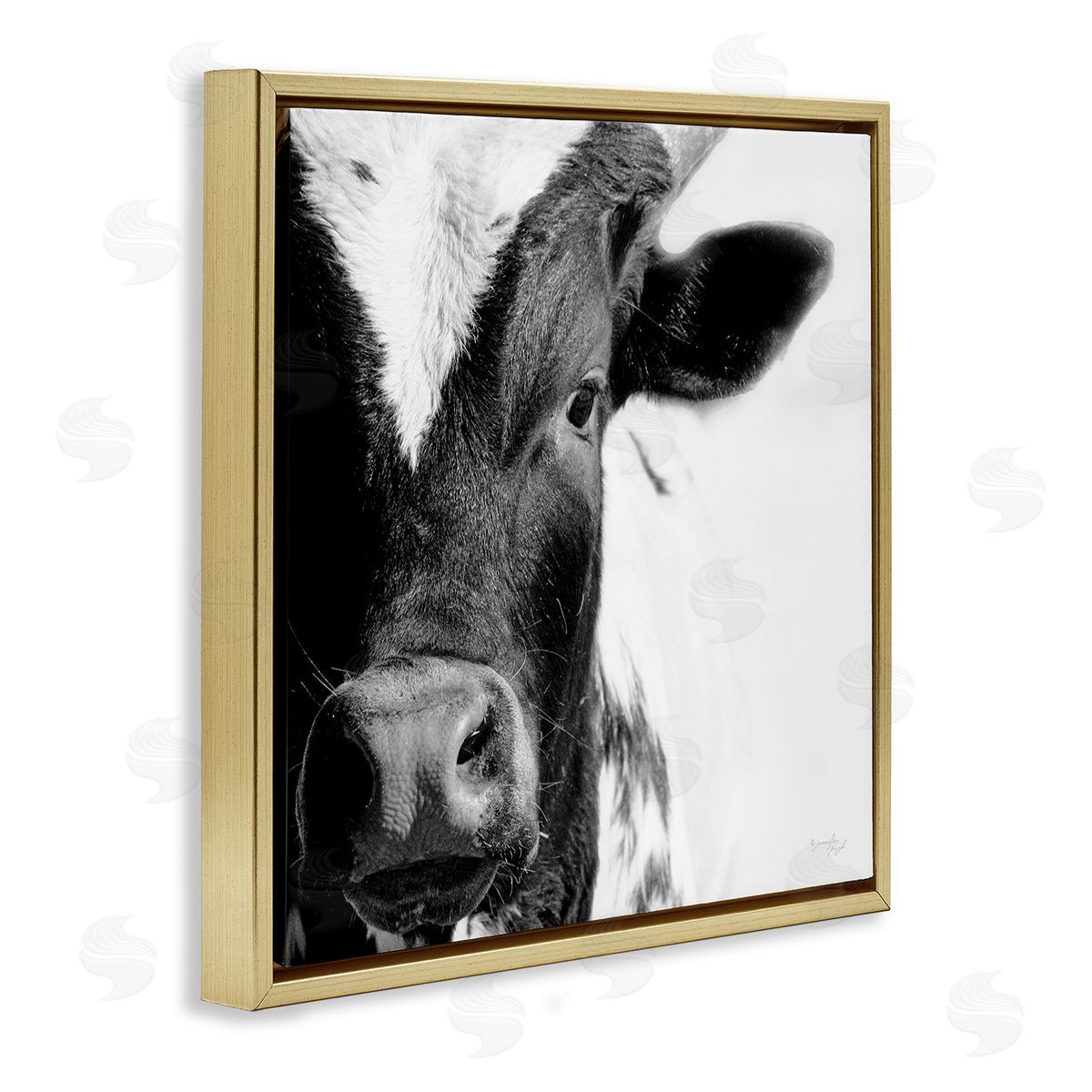Jennifer Pugh Rural Farm Cow Stunning Up Close Photography Gold Floating Frame Canvas Wall Art Print