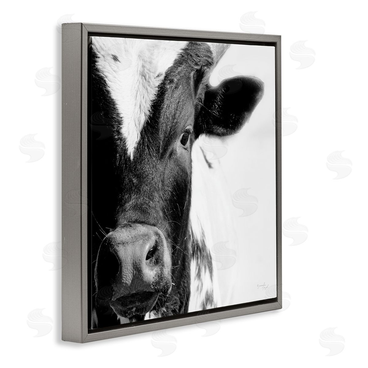 Jennifer Pugh Rural Farm Cow Stunning Up Close Photography Gray Floating Frame Canvas Wall Art Print