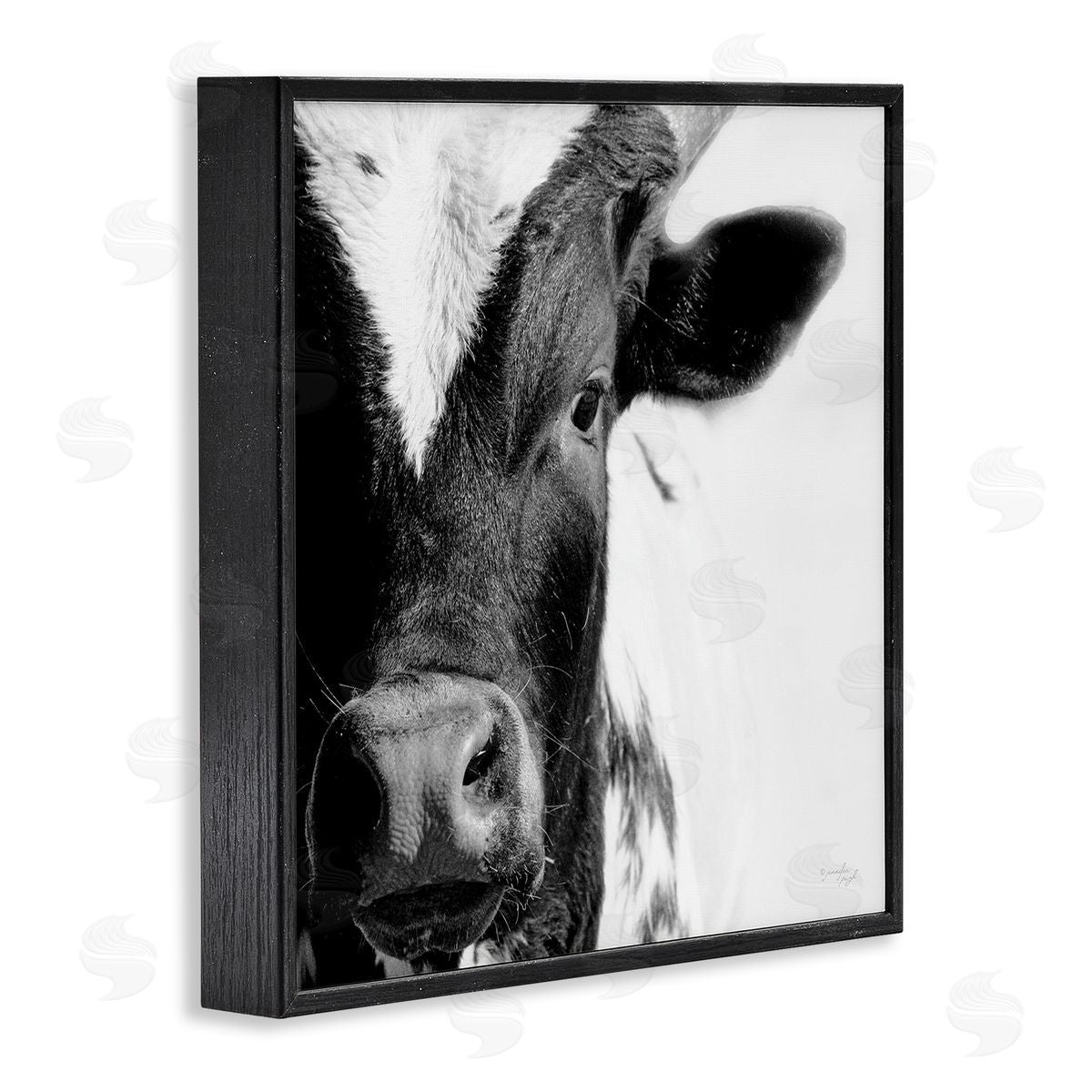 Jennifer Pugh Rural Farm Cow Stunning Up Close Photography Black Framed Glicee Wall Art Print