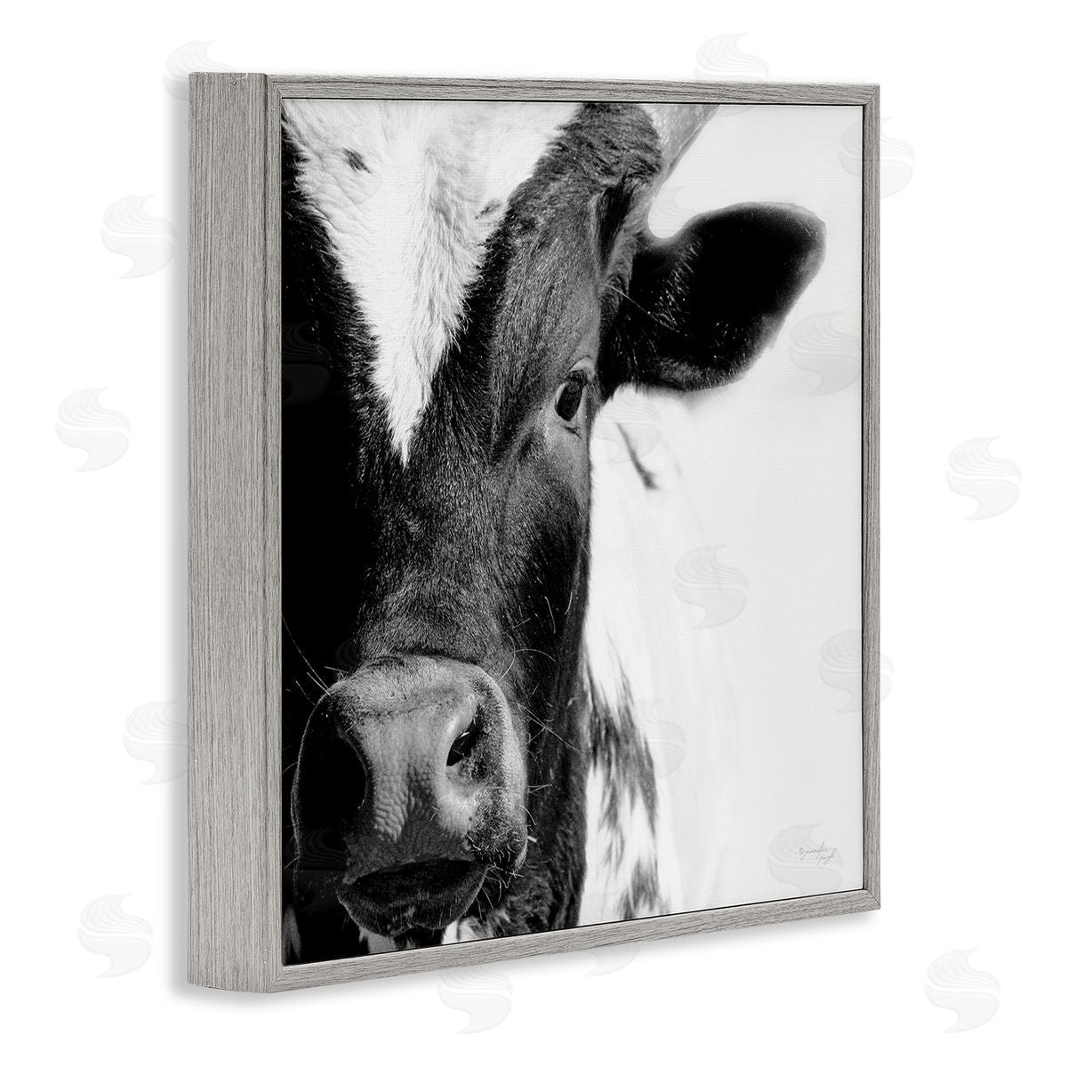 Jennifer Pugh Rural Farm Cow Stunning Up Close Photography Gray Framed Glicee Wall Art Print