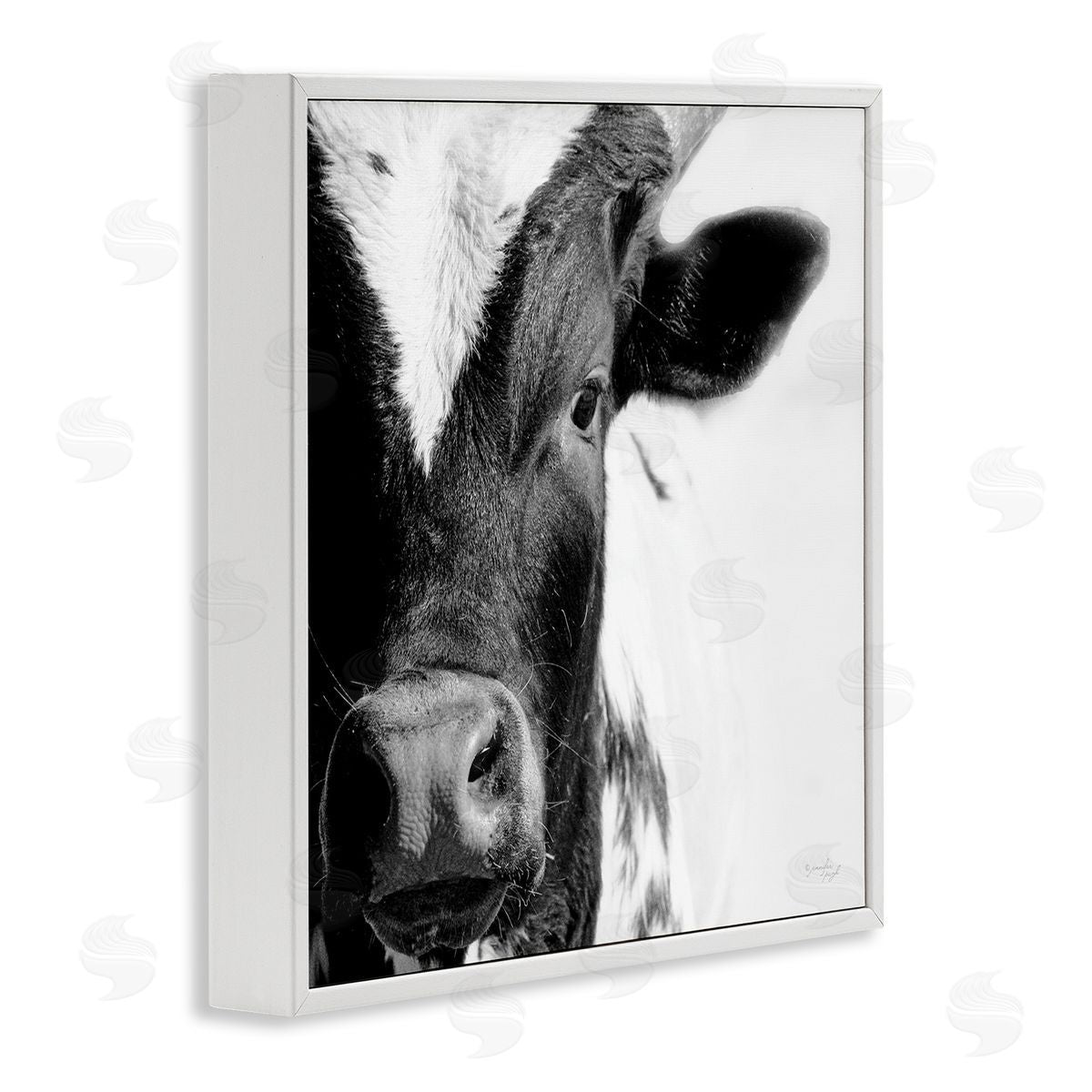 Jennifer Pugh Rural Farm Cow Stunning Up Close Photography White Framed Glicee Wall Art Print