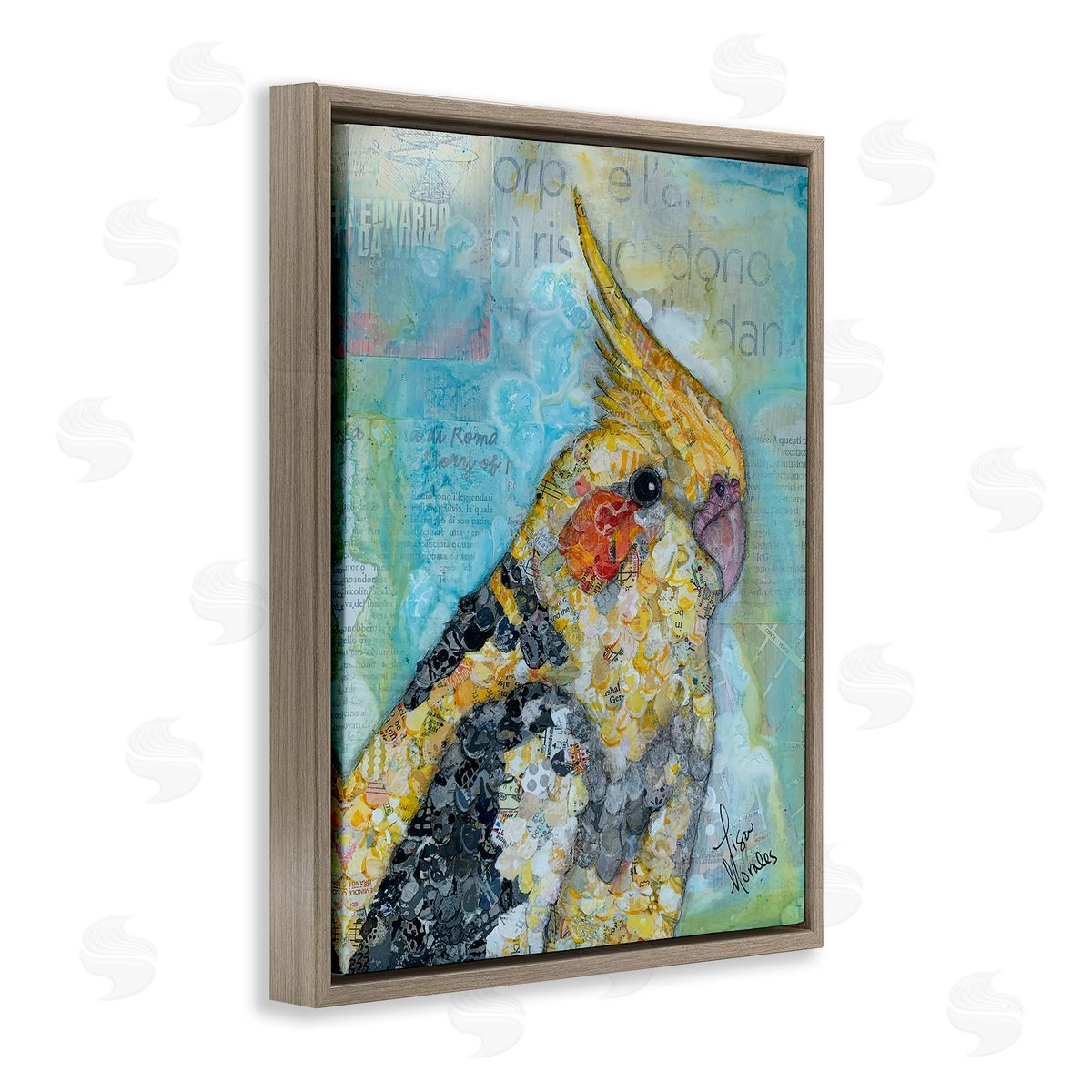 Lisa Morales Jolly Cockatiel Bird Assorted Layered Animal  Brown Floating Frame Canvas Wall Art Print