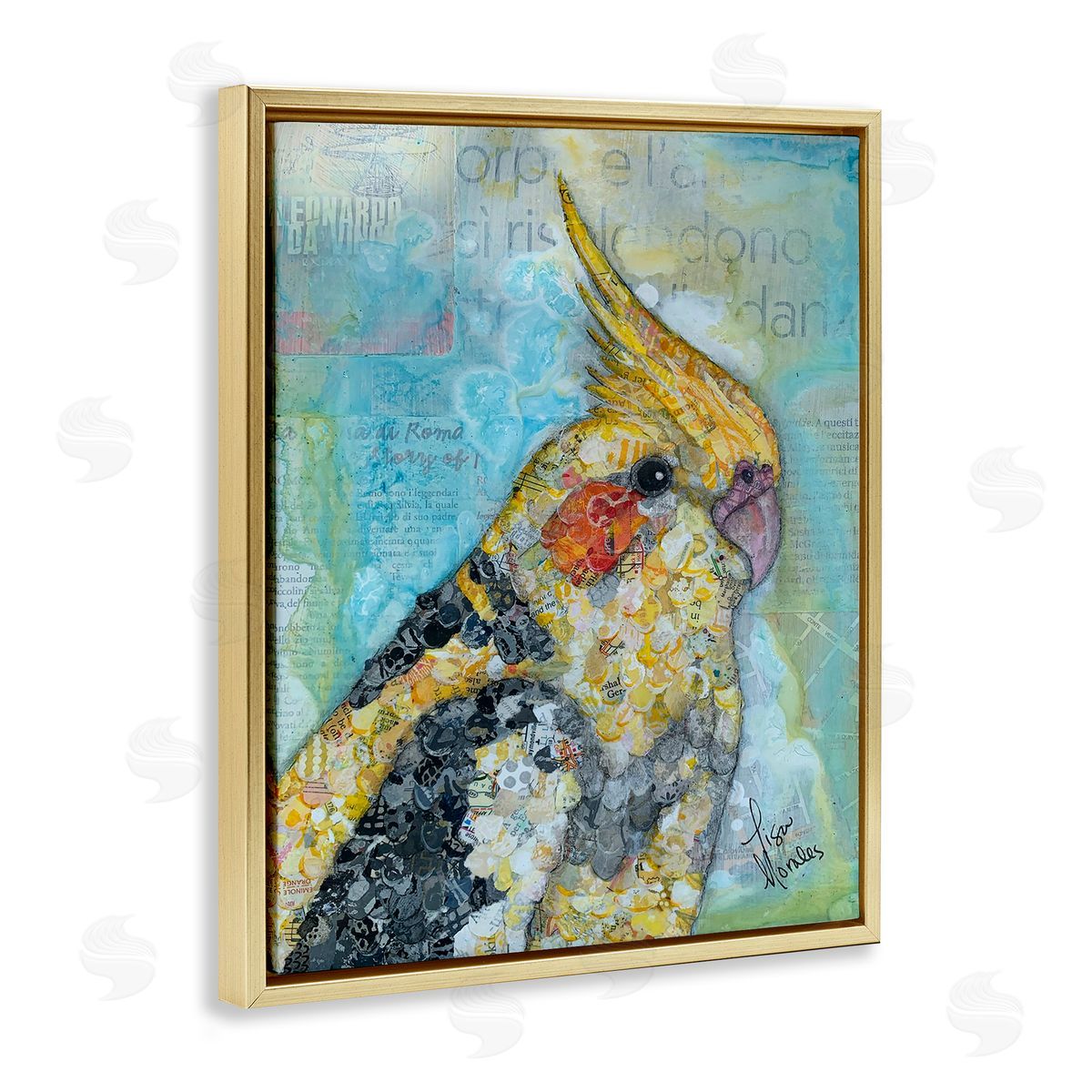 Lisa Morales Jolly Cockatiel Bird Assorted Layered Animal  Gold Floating Frame Canvas Wall Art Print
