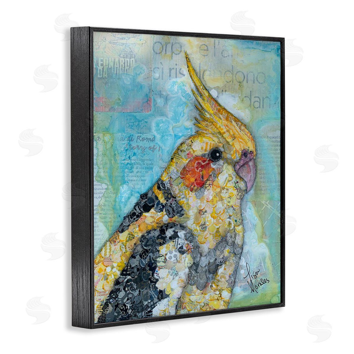 Lisa Morales Jolly Cockatiel Bird Assorted Layered Animal  Black Framed Giclee Wall Art Print