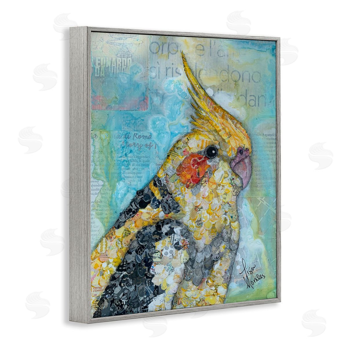Lisa Morales Jolly Cockatiel Bird Assorted Layered Animal  Gray Framed Giclee Wall Art Print