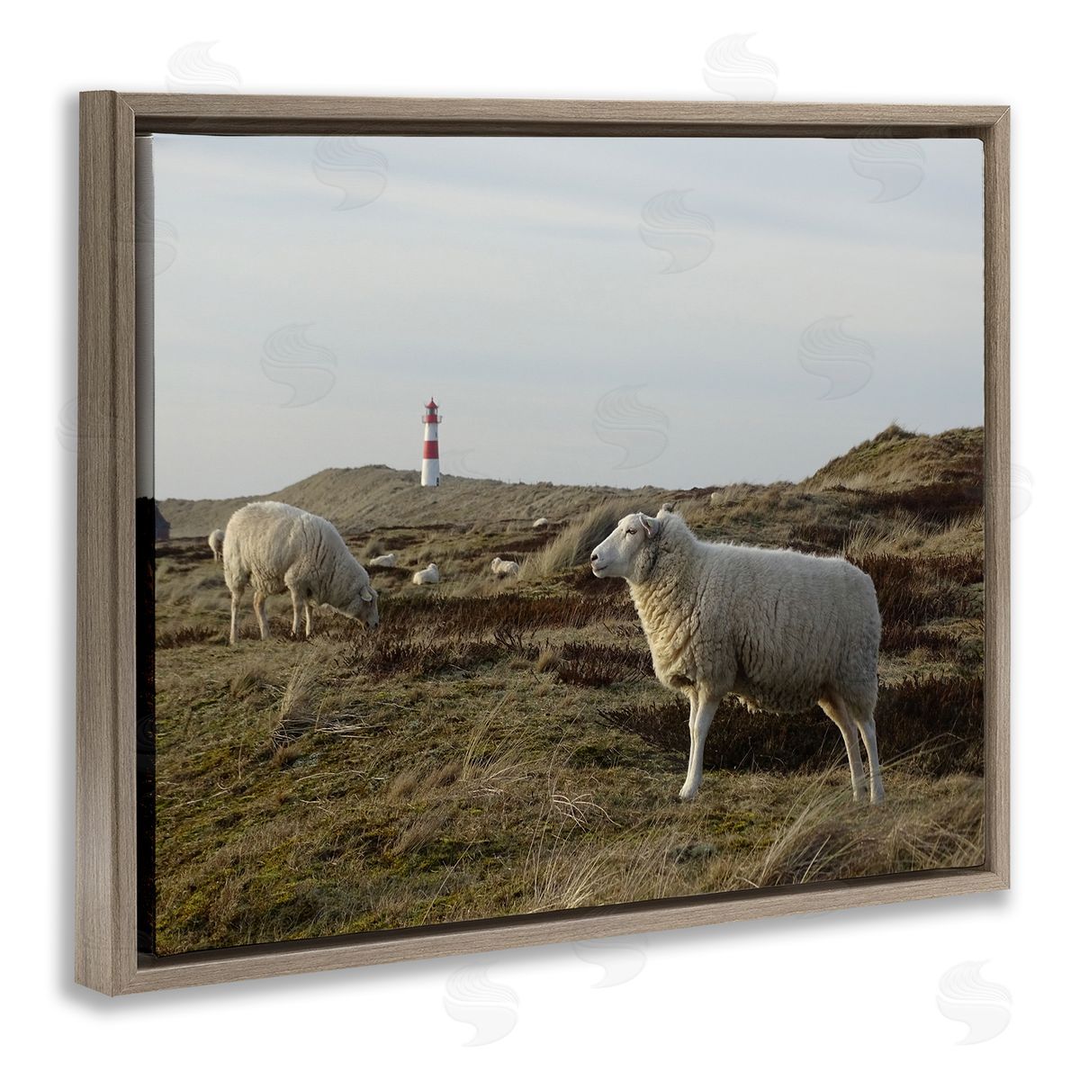 Stupell Studio Grazing Sheep Peaceful Grassland Hills Distant Lighthouse  Brown Floating Frame Canvas Wall Art Print