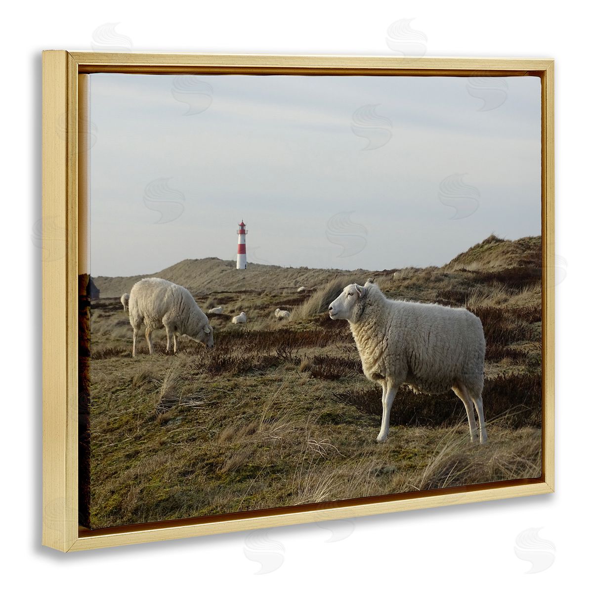 Stupell Studio Grazing Sheep Peaceful Grassland Hills Distant Lighthouse  Gold Floating Frame Canvas Wall Art Print