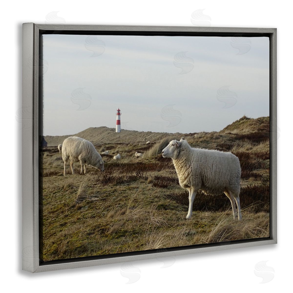 Stupell Studio Grazing Sheep Peaceful Grassland Hills Distant Lighthouse  Gray Floating Frame Canvas Wall Art Print