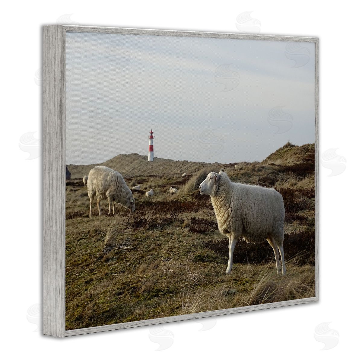 Stupell Studio Grazing Sheep Peaceful Grassland Hills Distant Lighthouse  Gray Framed Giclee Wall Art Print