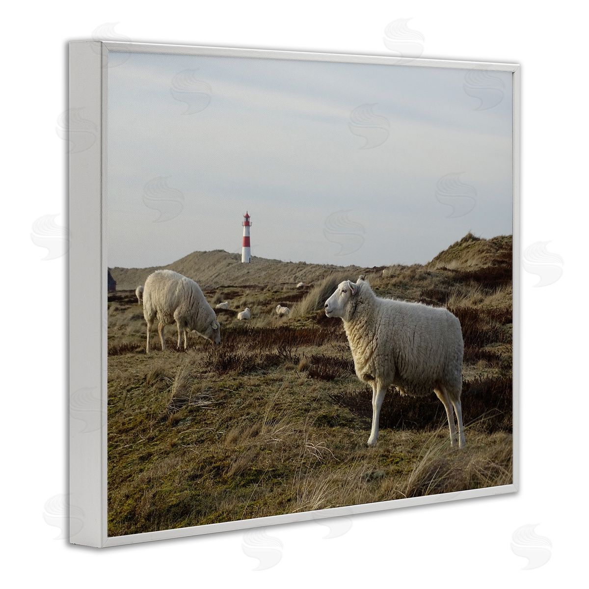 Stupell Studio Grazing Sheep Peaceful Grassland Hills Distant Lighthouse  White Framed Giclee Wall Art Print