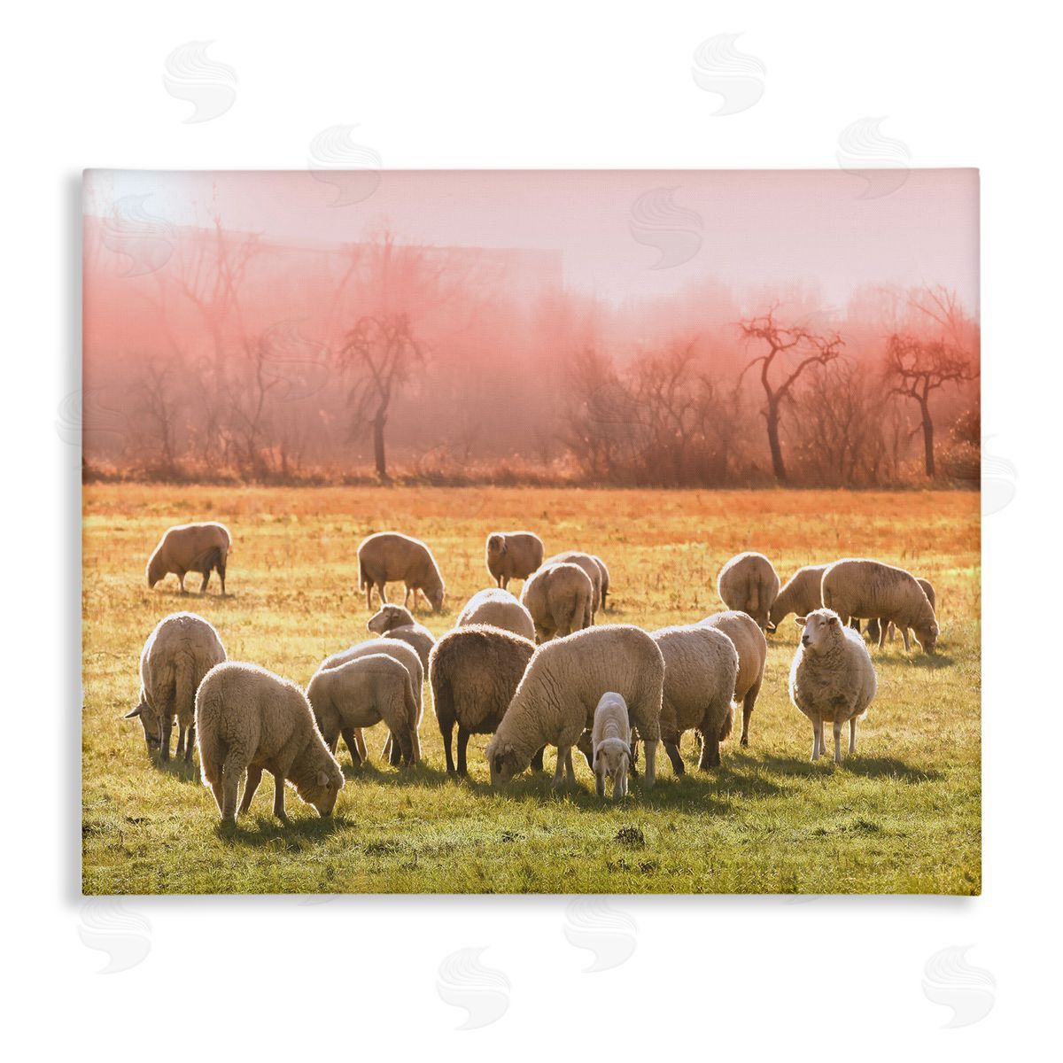 Stupell Studio Sheep Herd Grazing Warm Pink Sunset Rural Grassland Stretched Canvas Wall Art Print