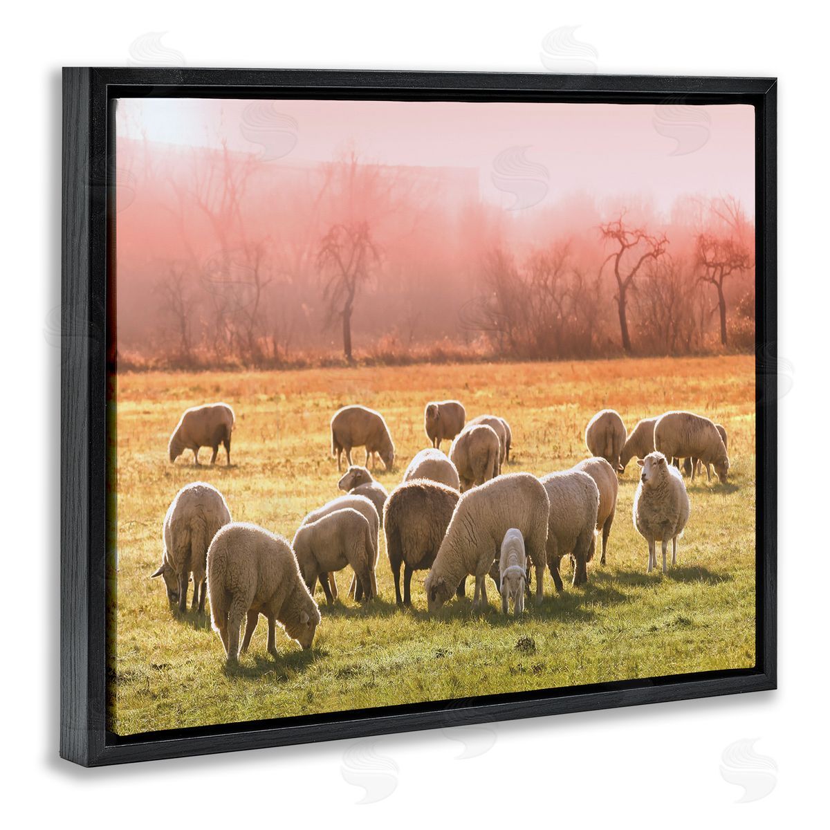 Stupell Studio Sheep Herd Grazing Warm Pink Sunset Rural Grassland Black Floating Frame Canvas Wall Art Print
