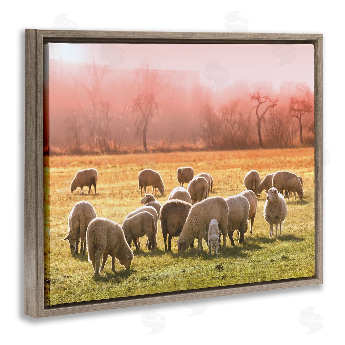 Stupell Studio Sheep Herd Grazing Warm Pink Sunset Rural Grassland Brown Floating Frame Canvas Wall Art Print