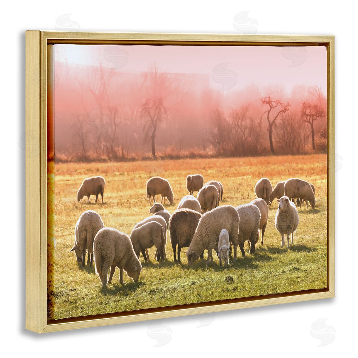 Stupell Studio Sheep Herd Grazing Warm Pink Sunset Rural Grassland Gold Floating Frame Canvas Wall Art Print