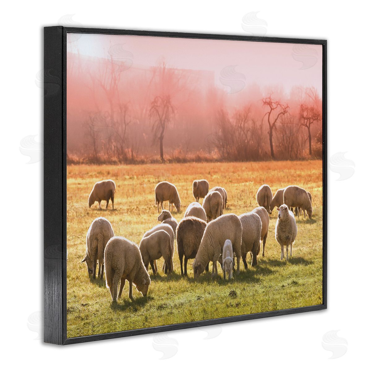 Stupell Studio Sheep Herd Grazing Warm Pink Sunset Rural Grassland Black Framed Giclee Wall Art Print