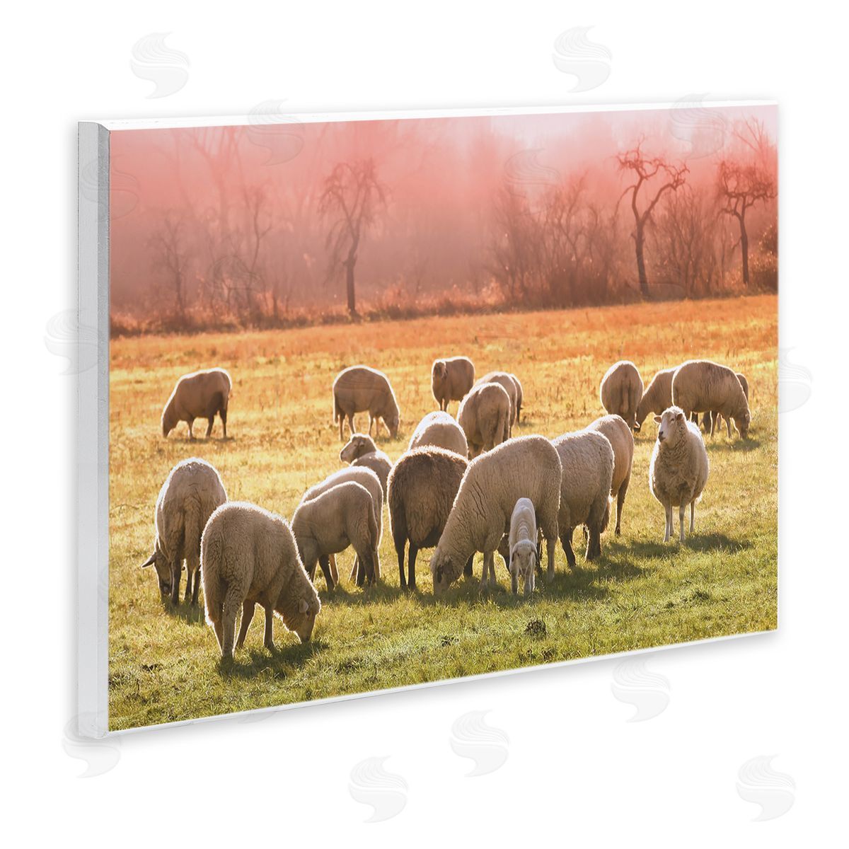 Stupell Studio Sheep Herd Grazing Warm Pink Sunset Rural Grassland Wall Plaque Art Print