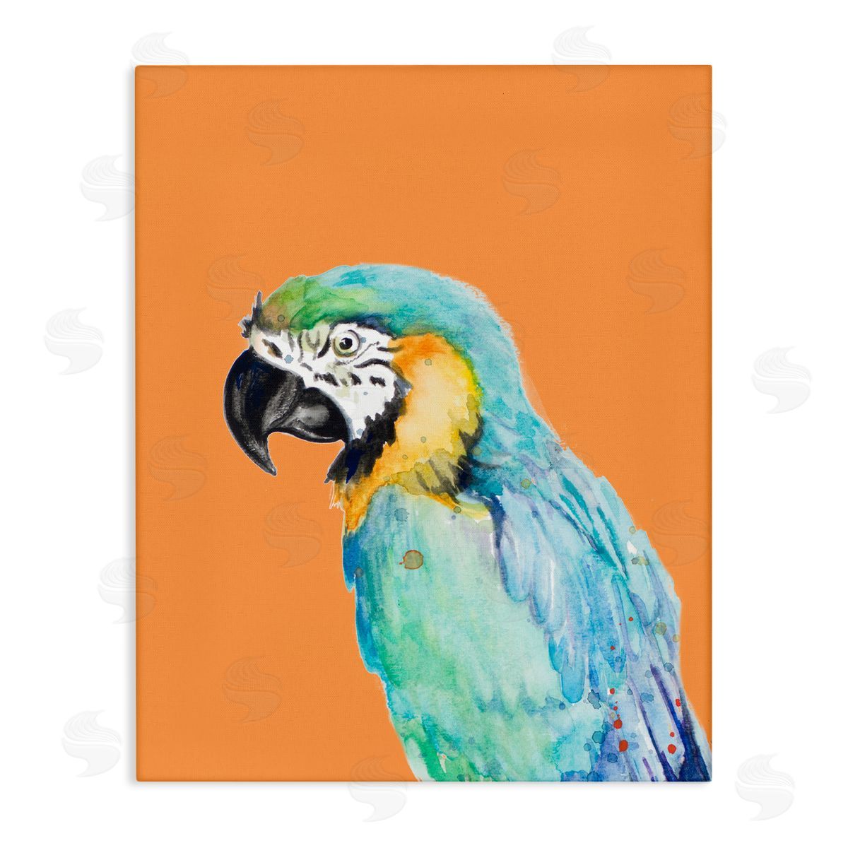 Patricia Pinto Tropical Macaw Parrot Portrait Bold Rainforest Bird Stretched Canvas Wall Art Print