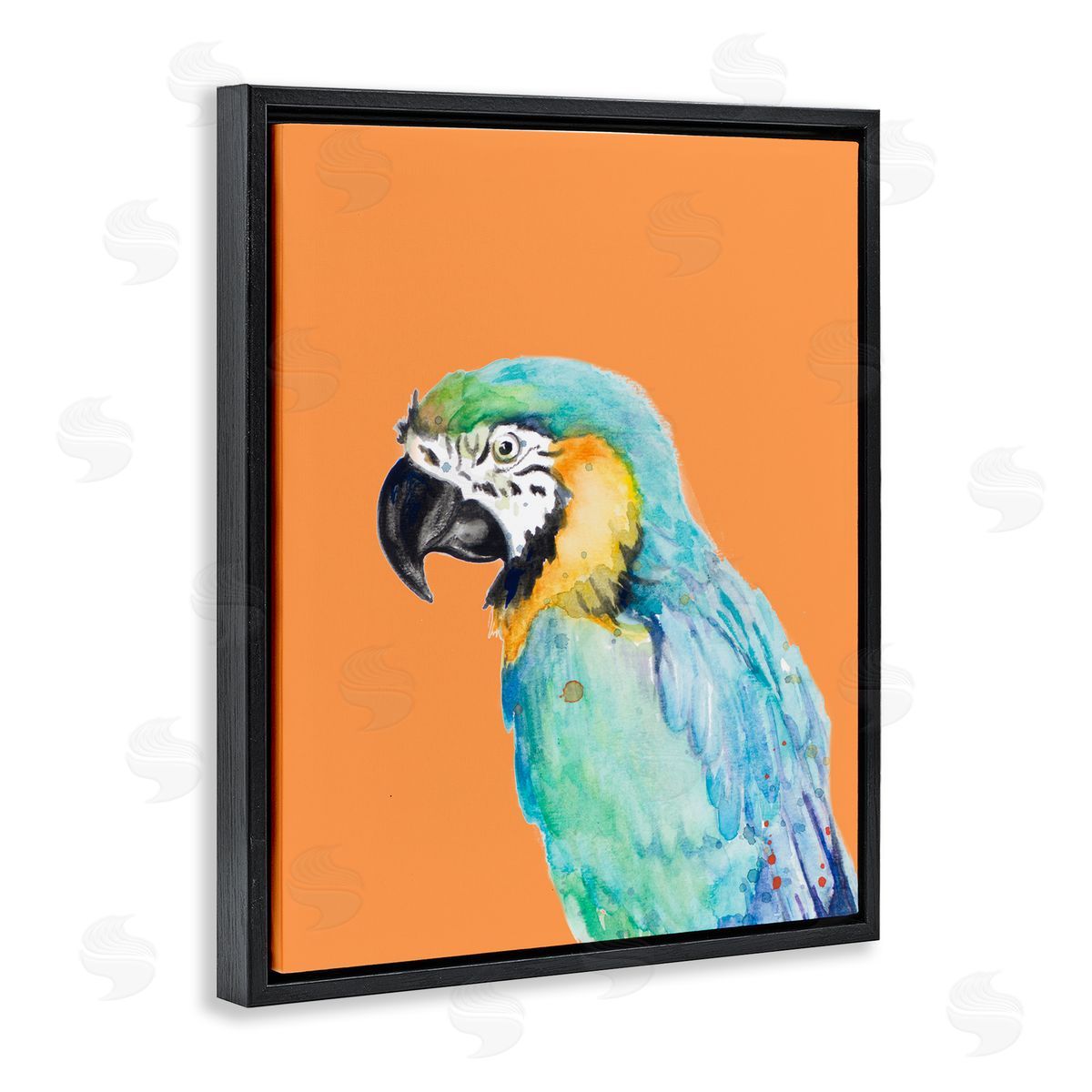 Patricia Pinto Tropical Macaw Parrot Portrait Bold Rainforest Bird Black Floating Frame Canvas Wall Art Print